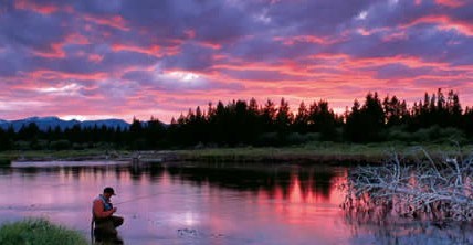 Picture of a Fly Fisherman.